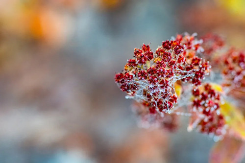 640.webp (5)_副本.jpg 640.webp (5)_副本.jpg