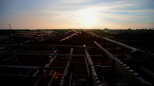 唤醒古建筑3.jpg 唤醒古建筑3.jpg