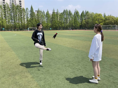 踢毽子活动现场2_副本.png