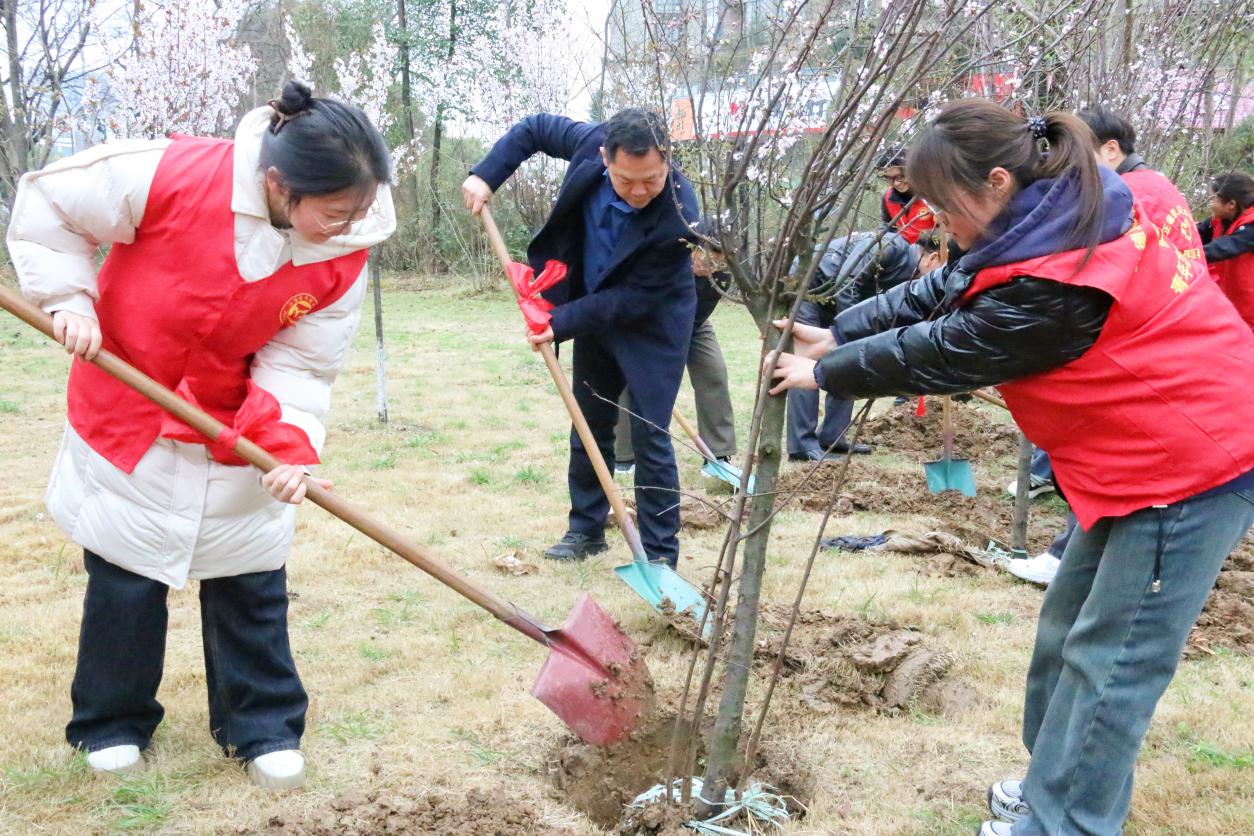 d3213aa9ada0360b76d6e54e216feed